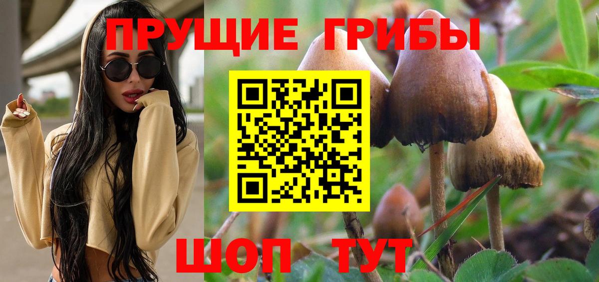Галлюциногенные грибы Magic Shrooms Волгоград