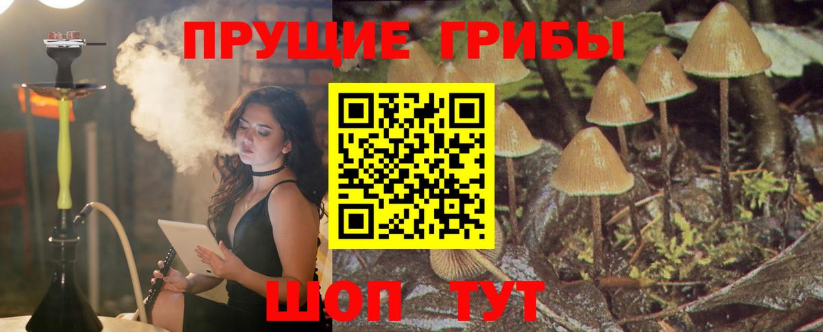 Псилоцибиновые грибы GOLDEN TEACHER  Вход с VPN  Волгоград 